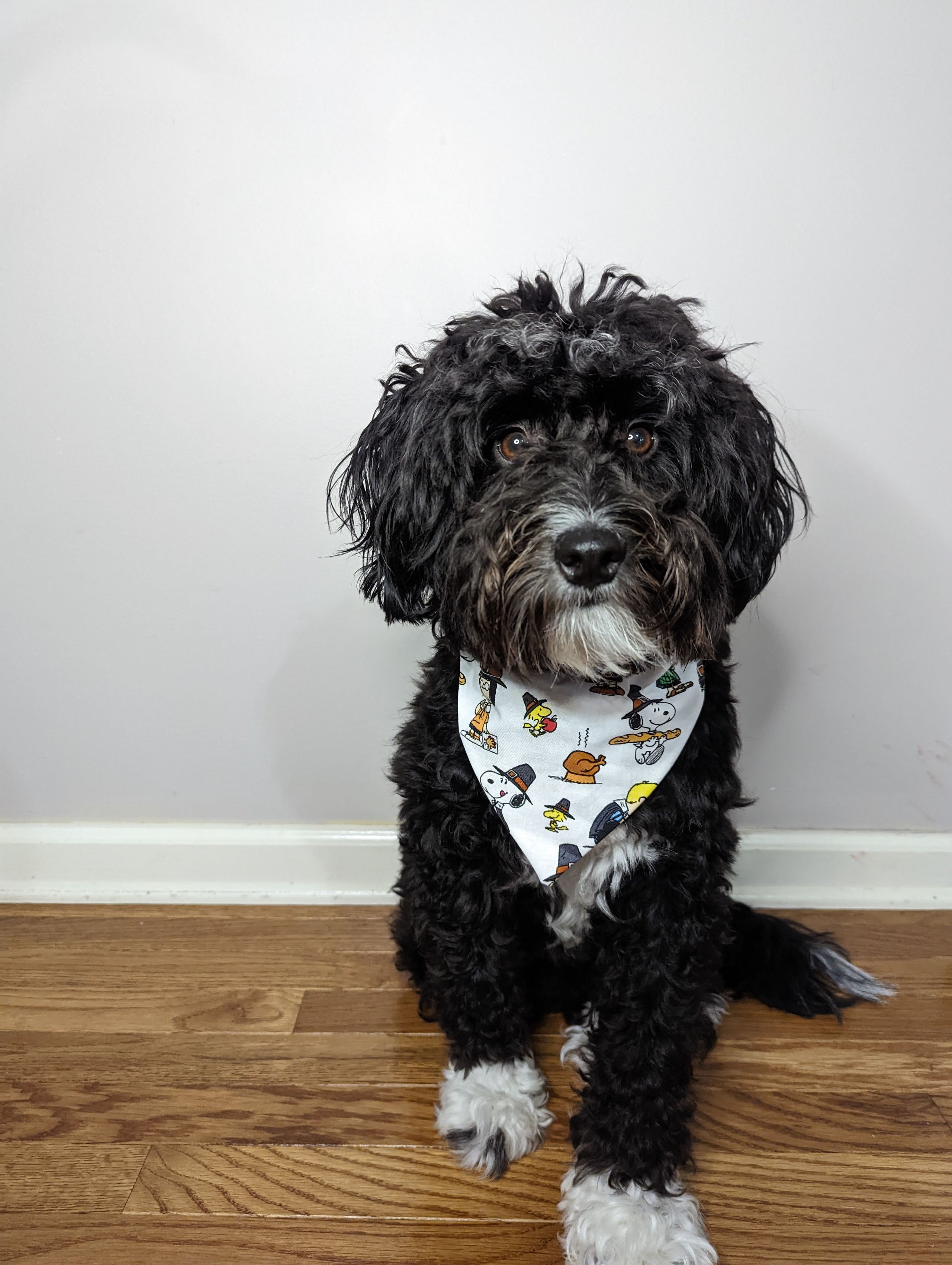 Seasonal best sale dog bandanas